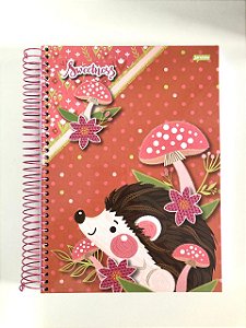 Caderno 10 matérias capa dura