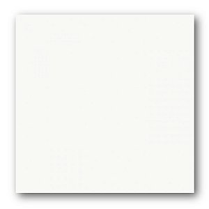 Porcelanato Retificado Polido 58x58cm Branco Cristal PPO58010R Cx/2,03m² Tecnogres