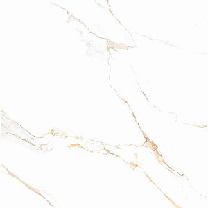 Piso Cerâmico Retificado Polido 70x70cm Pr70291 Caixa 3,43m² Triunfo