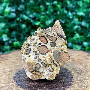 JASPE  LEOPARDO OU LEOPARDITA – Pedra da Conexão, Cura e Tranquilidade