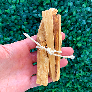 PALO SANTO – Limpeza Energética, Purificação e Proteção Espiritual