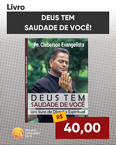 Deus tem saudade de Você - Um livro de direção espiritual -