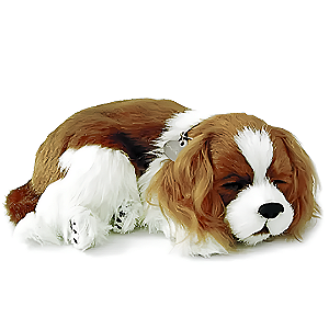 Cachorro de pelúcia que Respira - Cavalier King - Perfect Petzz