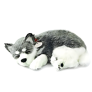 Cachorro de pelúcia que Respira - Husky Siberiano - Perfect Petzz