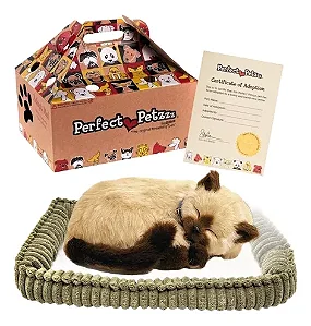 Gato de Pelúcia Perfect Petz - Respira Siamês com Pilha