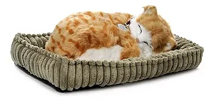 Gato Que Respira Orange Tabby Perfect Petz Com Pilha