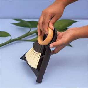 Kit Escova De Bambu E Pá Pequeno Para Limpeza - Oikos