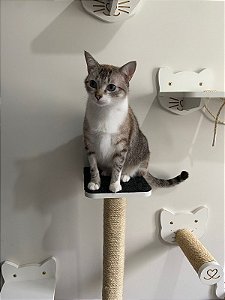 Elegance MDF Branco Arranhador 100 cm