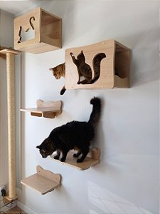 Conjunto básico - MDF cru, 6 peças