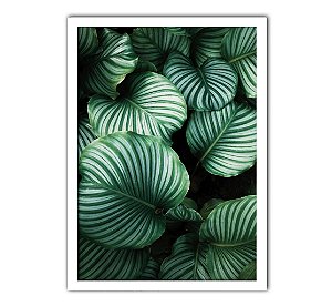 Quadro Decorativo Folhas Nature