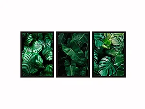 Conjunto Kit 03 Quadros - Trio Folhas Verdes Nature