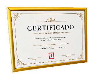 Moldura A4 21x30 cm Alumínio Vidro Simples Alvará Certificado - DOURADA FOSCA
