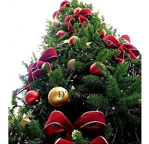 Arvore De Natal Gigante Luxo Dinamarquês 2,10m 956 Galhos