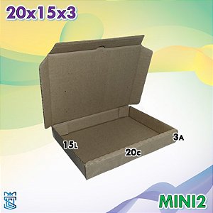 100 Caixas De Papelão 20x15x3