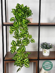 Pendente Folhagem Lambari 1m Artificial Vaso Cerâmica