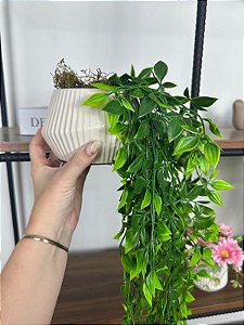 Folhagem Artificial Pendente Folhinha 60cm Vaso Branco