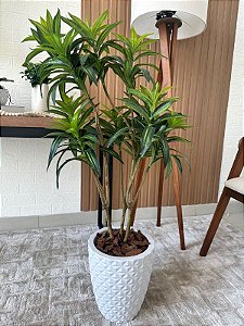 Árvore Artificial Dracena 110cm Vaso Polietileno Branco