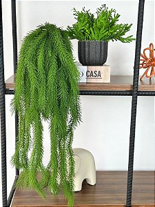 Planta Rabo de Raposa Artificial  + Vasinho Cerâmica com Verdinhos