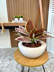 Planta Artificial Outonada 35cm Vaso Bacia Branco