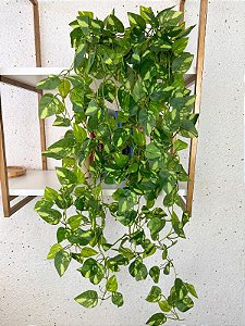 kit 2 Pendentes Jiboia 90cm Vaso Cerâmica Branco