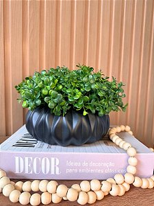 Equibana Cerâmica Preto com Pick Amendoim Artificial