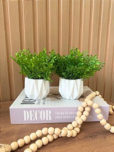 Duplinha Verde Dichidia Vaso Cerâmica Branco