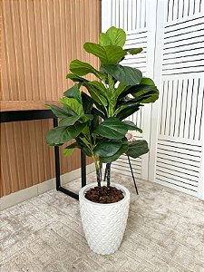 Árvore Artificial Ficus Lyrata 105cm Vaso de Polietileno Branco