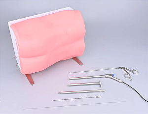 Simulador de Procedimentos Cirúrgicos: Coluna Vertebral Lombar