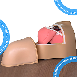 Ombro Anatômico para Treinamento Artroscopia – Treinamento Realista para Cirurgias Ortopédicas