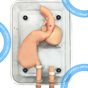 Simulador de Endoscopia para Treinamento Médico e Ensino de Gastroscopia | LapSkill
