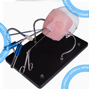 Simulador Para Neurologia