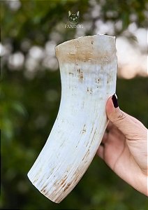 Chifre Bovino sem Ponta 1un - Pet Bem