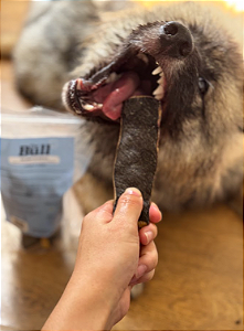 Tirinhas de Pele Bovina 8un - The Bull