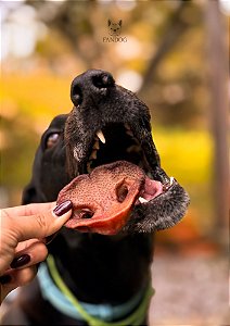 Focinho Suíno 6un - Pet Bem