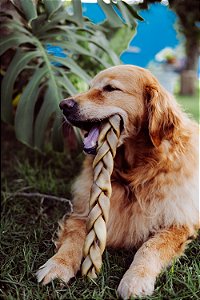 Pele Bovina Trançada SEM PELOS G - Natuka