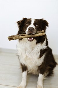 Cannoli de Pele Bovina Enrolada SEM PELOS - Natuka