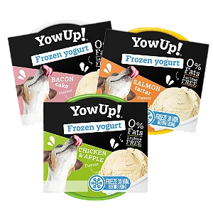 Sorvete Frozen Iogurte Sabor Frango 110g - YowUp