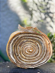 Super Magnifico de Pele Bovina Enrolada G 1un - Alecrim Pet