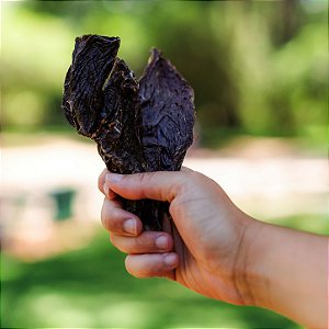 Petisco de Coração Bovino para Cães e Gatos 150g - Raw Raw