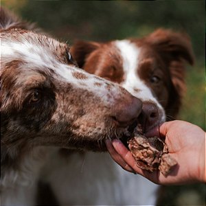 Petisco de Pulmão Suíno Bag para Cães e Gatos 70g - Raw Raw