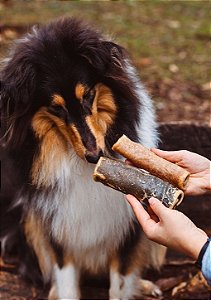 Bastãozinho de Couro Bovino Recheado com Esôfago 2 un - Pet Bem
