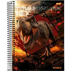 Caderno Universitário Capa Dura Jandaia Stone 15 Matérias 240 folhas Sortido