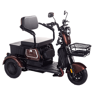 Triciclo Elétrico Zig 600W Carrega Até 3 Pessoas