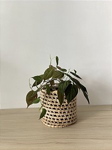 Cachepô palhinha P