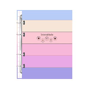 Caderno Universitário Argolado Intensidade