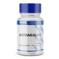 Astragalus