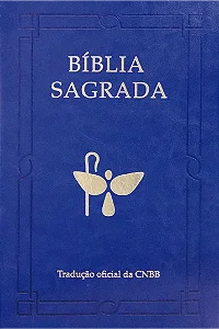 Bíblia Luxo Azul - Letra grande 6ª Edição