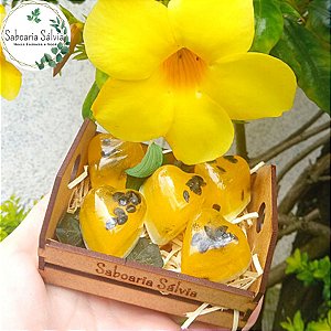 Caixote Sabonete Maracujá Para as Mãos