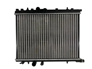 Radiador Agua Peugeot 206 207 307 Picasso 2001 à 2008 Manual