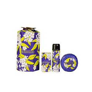 KIT PHEBO - SPRAY CORPO E CABELO 59ML - SABONETE 150G - COLONIA 30ML VERBENA TROPICAL - GRANADO